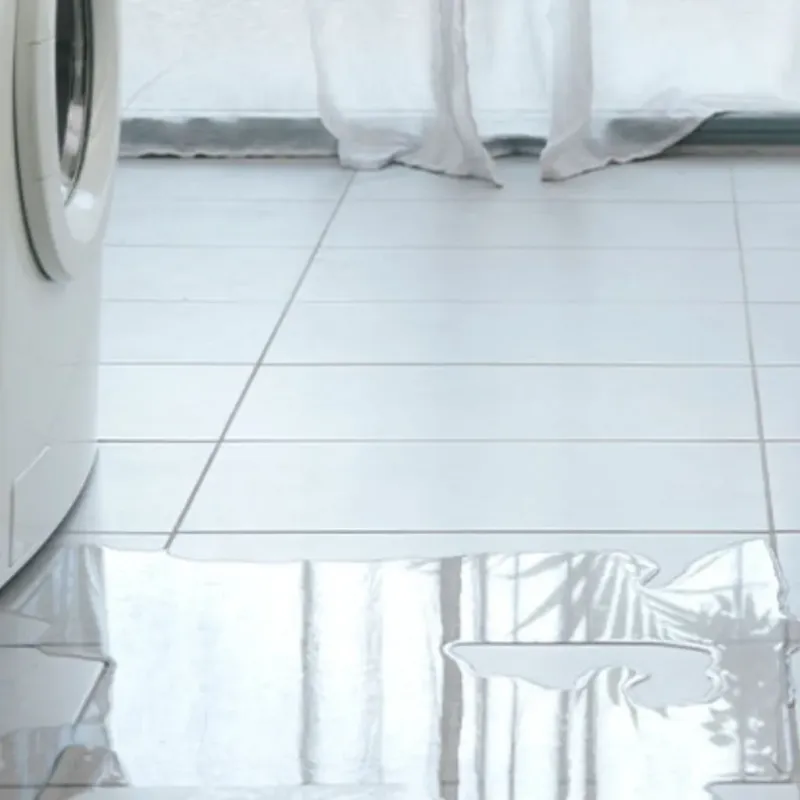 Appliance Leak Cleanup in Edgewater, NJ