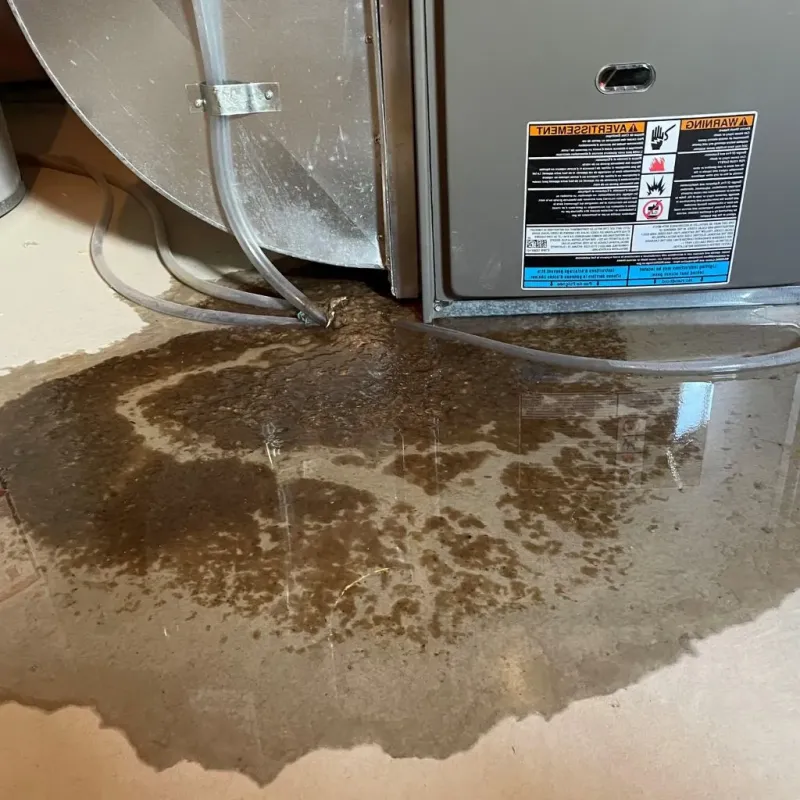 Pipe Burst and Leak Restoration in Edgewater, NJ