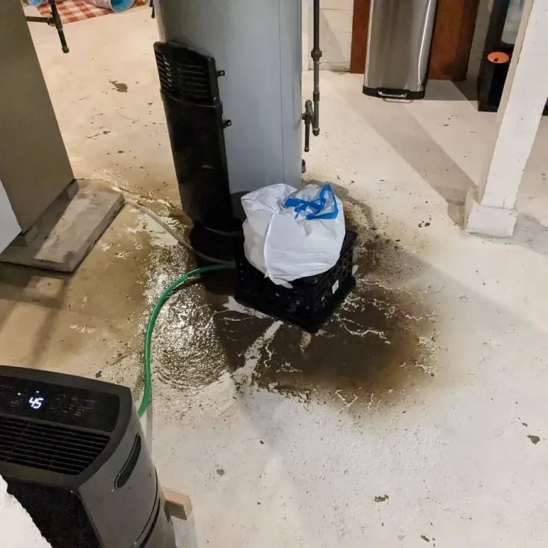 Sewage Backup Cleanup Service in Edgewater, NJ